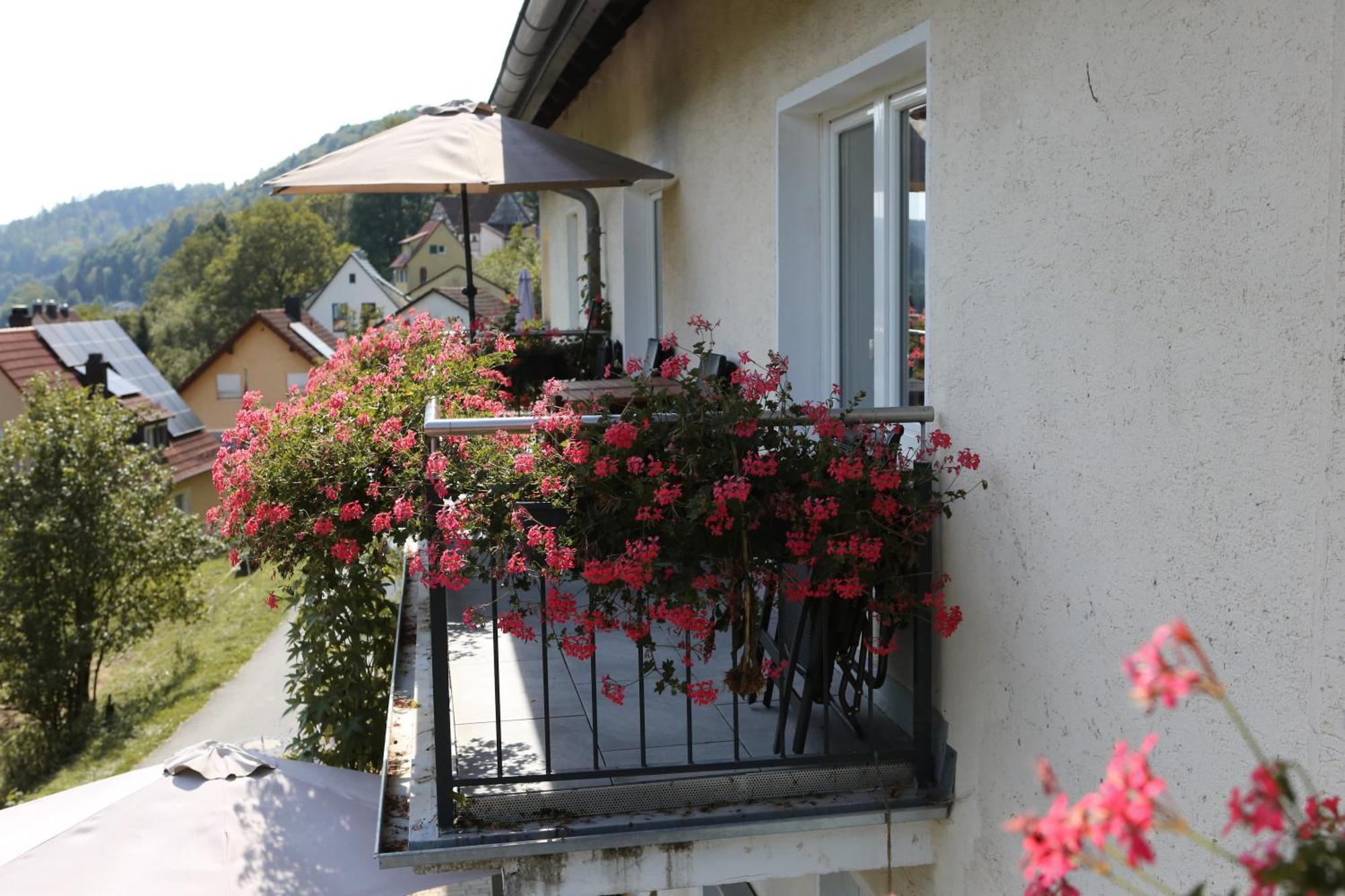 Ferienwohnungen Porisch Egloffstein Exterior foto