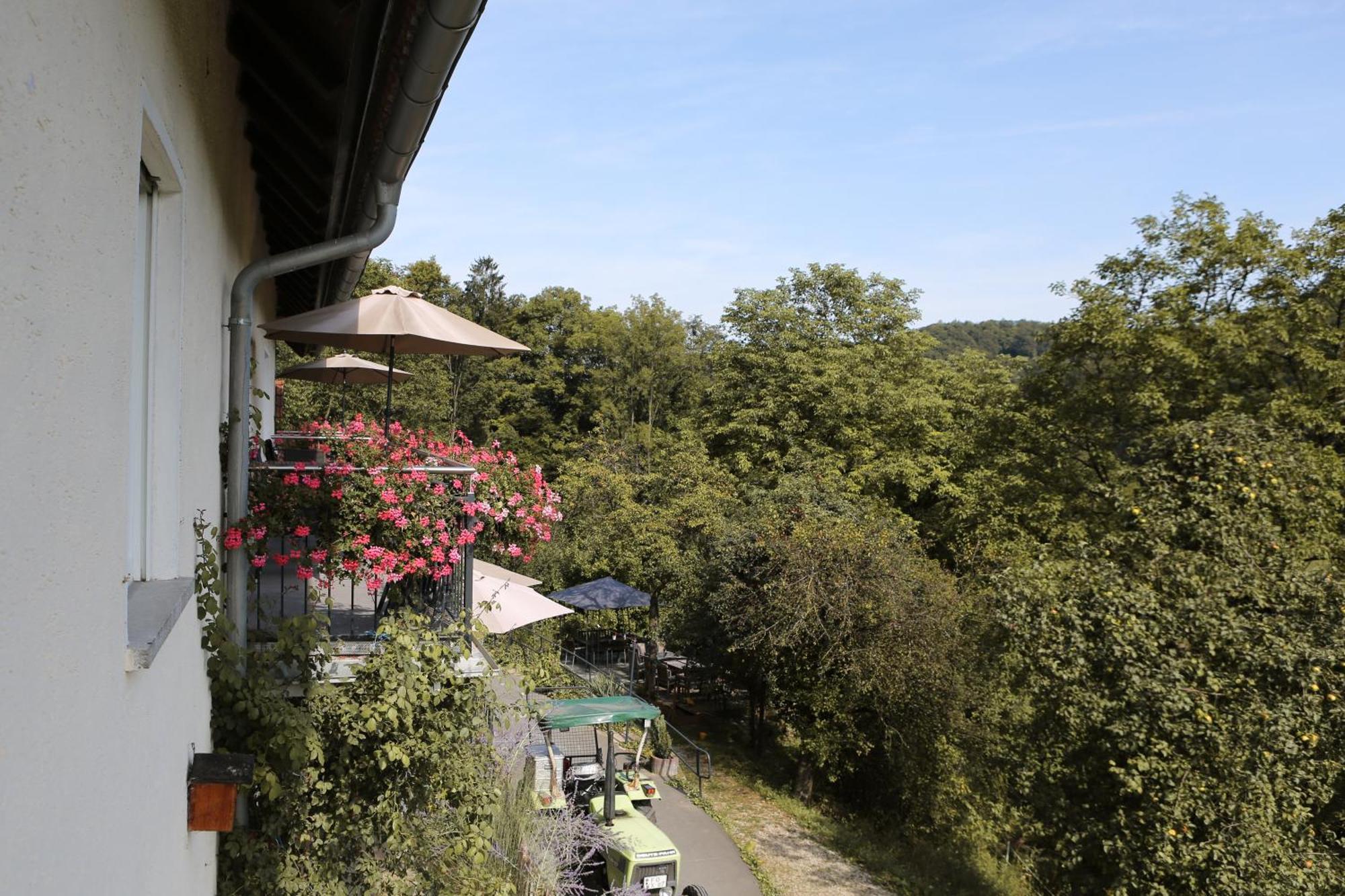 Ferienwohnungen Porisch Egloffstein Exterior foto
